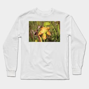 Drying Up Pitcher Plant Long Sleeve T-Shirt